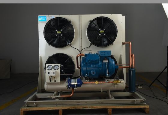 Frost Temp Monoblock Cold Room Condensing Unit ระบบทำความเย็นสำหรับห้องเย็น