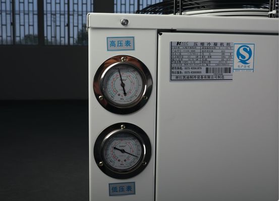 Copeland Freezer Room Condensing Unit Compressor 404a สารทำความเย็น